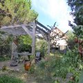 jardin terrasse