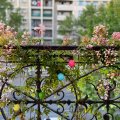 Paris prend l'air -  maison - jardin - terrasse - espace extérieur - 75 - 94 - 92 -93 - 78 - 94 -