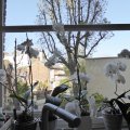 Paris prend l'air -  maison - jardin - terrasse - espace extérieur - 75 - 94 - 92 -93 - 78 - 94 -