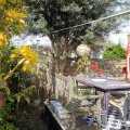 Paris prend l'air - 92 - maison - espace extérieur - jardin - terrasse - péniche - 75 - 94 - 93