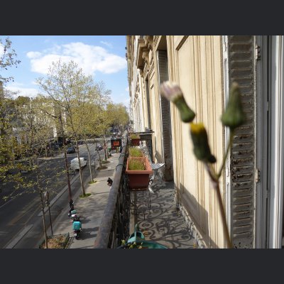 Paris prend l'air -  maison - jardin - terrasse - espace extérieur - 75 - 94 - 92 -93 - 78 - 94 -