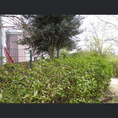 Paris prend l'air - 92 - maison - espace extérieur - jardin - terrasse - péniche - 75 - 94 - 93