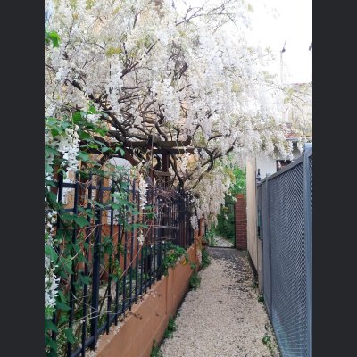 Paris prend l'air - Colombes - 92 - maison - jardin - espace extérieur - terrasse