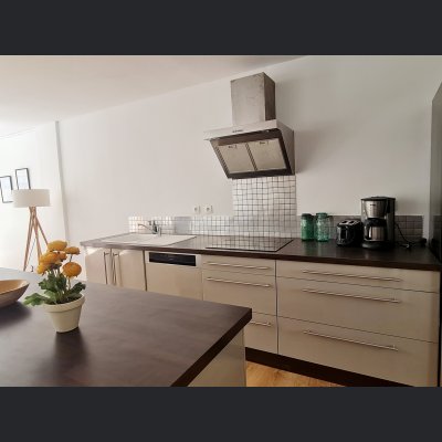 PARIS PREND L'AIR -  maison - loft - espace exterieur - saont-Denis